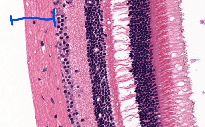 <p>structure</p>