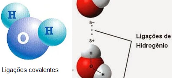 <p>b) ligações covalentes........ pontes de hidrogénio</p><p>Entre os átomos de oxigénio e de hidrogénio de uma molécula de água formam-se ligações covalentes, enquanto entre diferentes moléculas de água se formam pontes de hidrogénio</p>