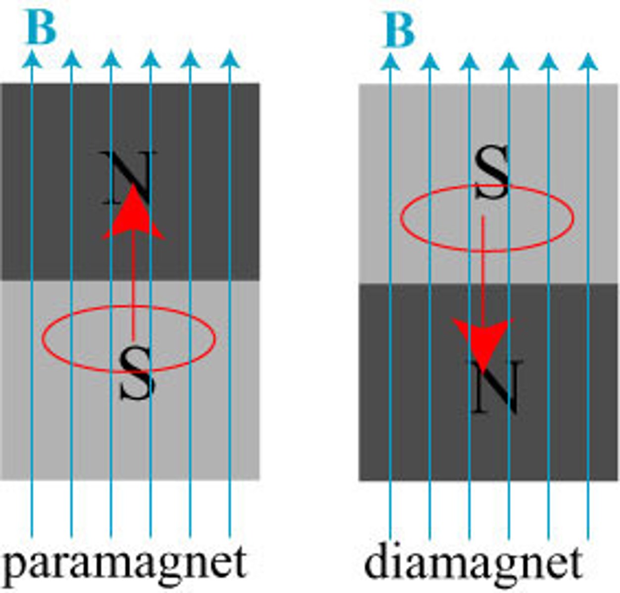 <p>(A) Diamagnetic</p><p>Diamagnetic substances will be slightly repelled by an external magnetic field. Diamagnetic substances have only paired electrons in its outermost orbital.</p>