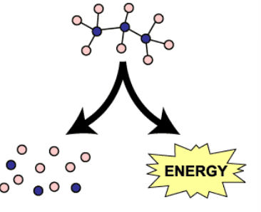 <p>Catabolism</p>