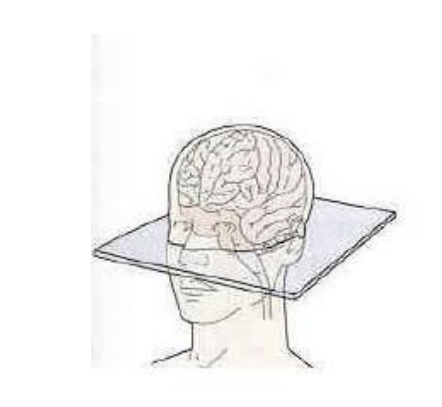 what type of slice is this