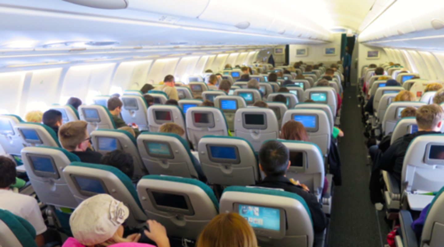 <p>economy class</p>