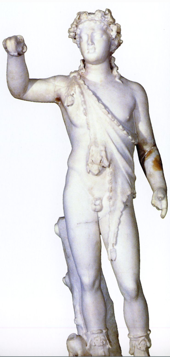 term image