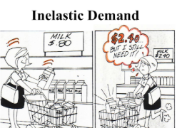 <p>Inelastic good</p>