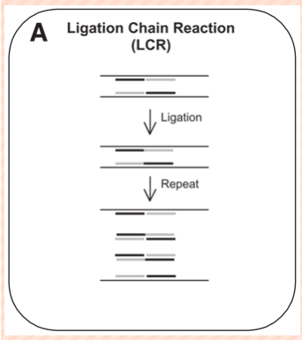 <ul><li><p>dsDNA denatured by heat → single-stranded target sequence</p></li><li><p>temp lowered and 2 specific probes anneal to amplicon</p></li><li><p>Another 2 probes bind to the amplicon's complementary sequence on the other strand</p></li><li><p>When two probes anneal correctly to a target sequence, the 5' end of one probe is next to the 3' end of the other</p></li><li><p>The probes can then be covalently joined by a heat-stable ligase to form a new target sequence--to which another pair of probes can subsequently bind</p></li></ul><p></p>