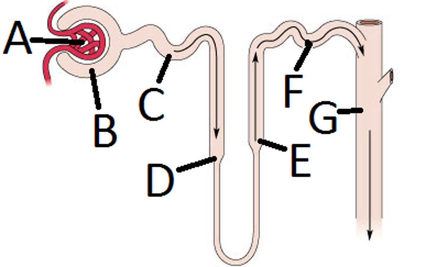 <p>A</p>