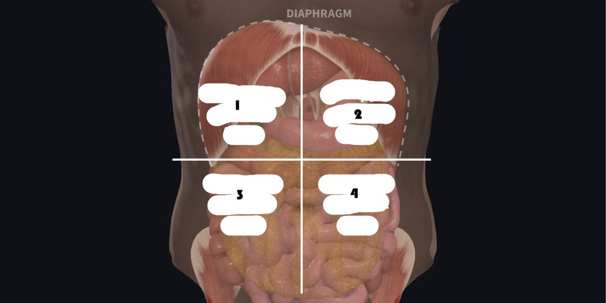 <p>identify number 1</p>