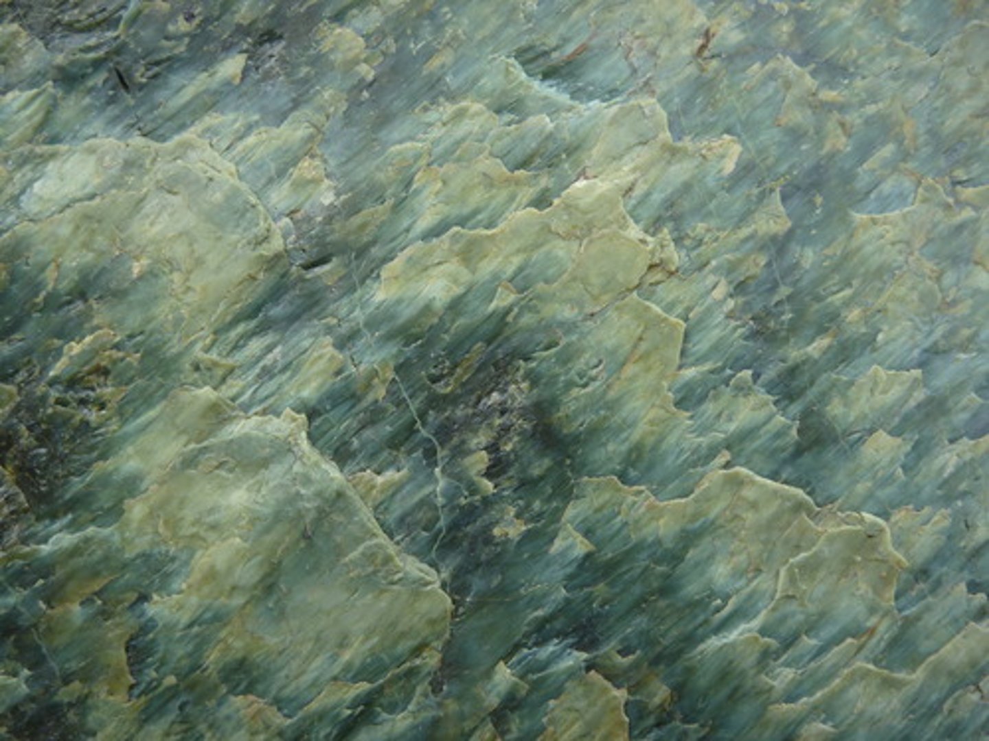 <p>Hair like or threadlike (Serpentine)</p>