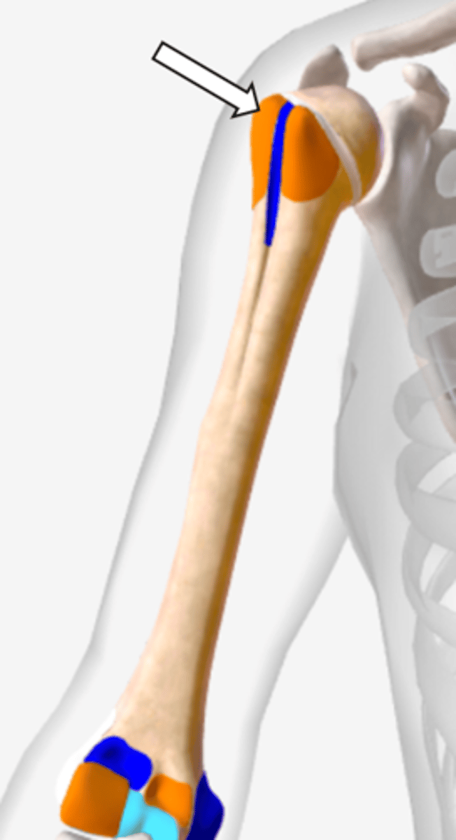 <p>name the part</p>