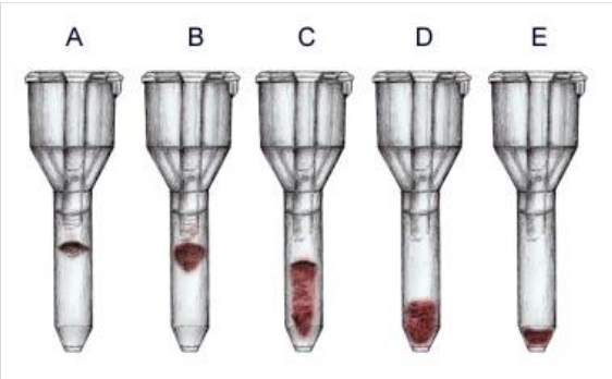 <p>reaction of tube C</p>