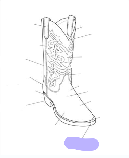 <p>What part of the boot is this? (labeled in purple)</p>