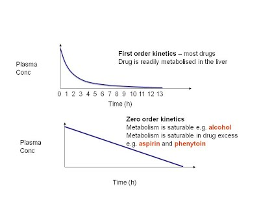 <p><strong><u>First order (drug-dose dependant):</u></strong> —> The elimination depends on the drug serum concentration</p><ul><li><p>so it depends on what the drug dosage was aka. the more drug there is, the faster the body will work to clear it</p></li></ul><p></p><p><strong><u>Zero order:</u></strong> Doesn’t matter how much of a drug is in circulation, the body stays clearing/eliminating at the same pace as always</p><ul><li><p>This makes a drug easy to overdose</p></li><li><p>ASA and Alcohol are zero order</p></li></ul><p></p><p><span style="font-family: "Times New Roman", serif;"><strong><mark data-color="#86d8e2" style="background-color: rgb(134, 216, 226); color: inherit;">More drug present = body won’t speed up and it gets easily overdose because it stays in the system</mark></strong></span></p><p></p>