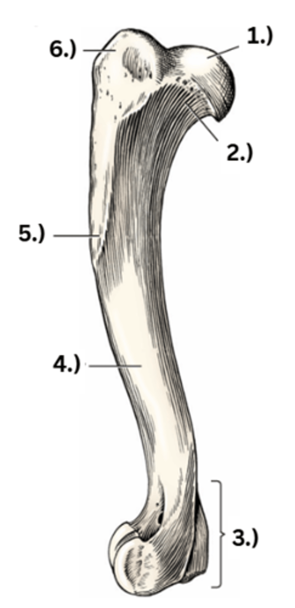 <p>5</p>