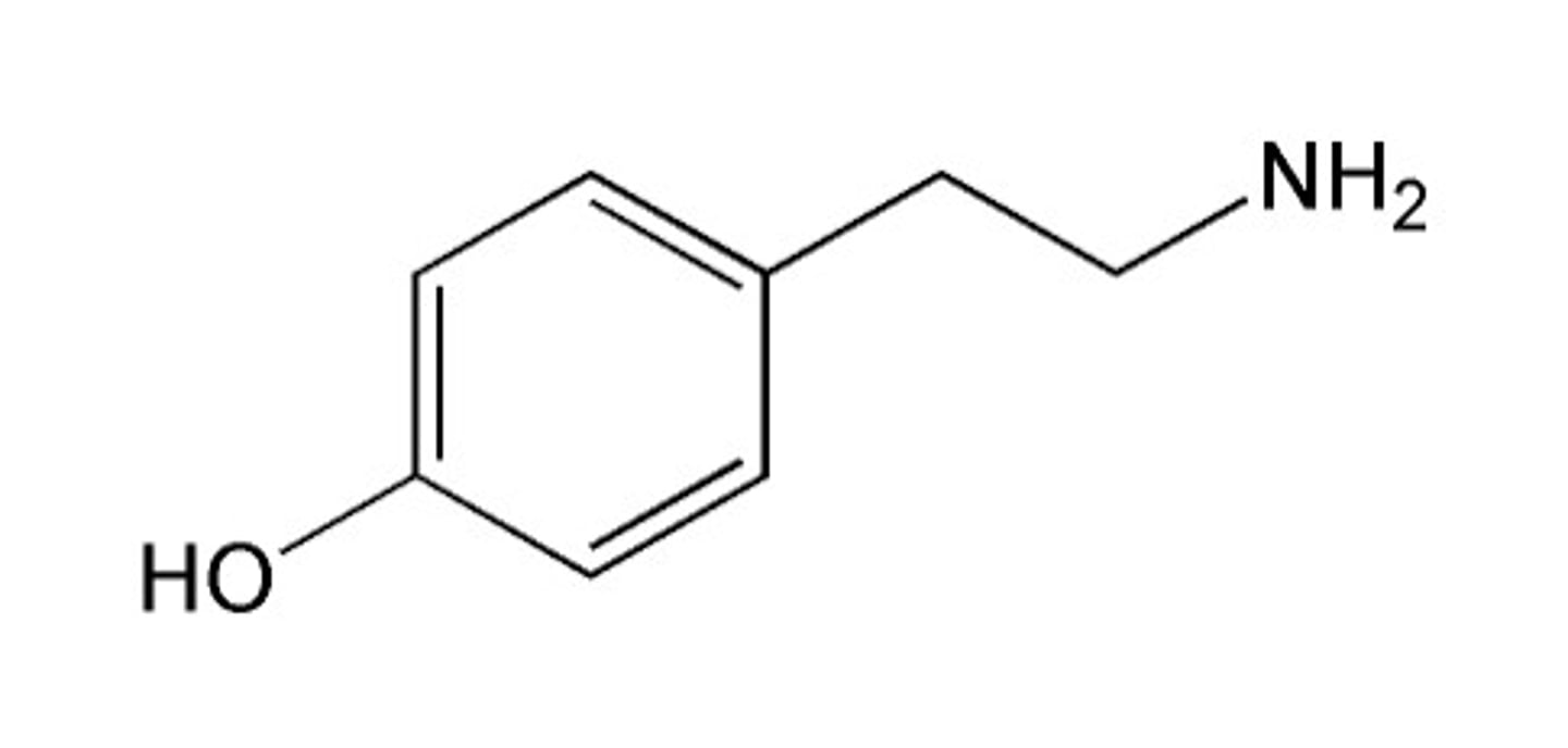<p>Tyramine</p>
