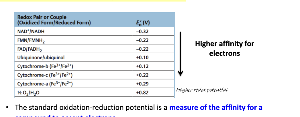 <ul><li><p>the more positive the E’o value → <strong>higher affinity for electrons</strong></p></li><li><p>the standard oxidation-reduction potential is a <strong>measure of the affinity for a compound to accept electrons</strong></p></li><li><p>also called redox potential</p></li><li><p>a redox pair with a higher Eo has a higher affinity for electrons than a redox pair with lower Eo</p></li><li><p>redox pair with higher Eo will “take” electrons from a redox pair with a lower Eo</p></li></ul><p></p>