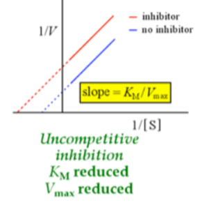 <p>binds enzyme-substrate complex (after they come together), then controls and stops turnover/process</p><ul><li><p>Km reduced - saturating protein earlier, can’t release substrate (temporarily locked → bad = taking enzyme out of solution</p><ul><li><p>affinity is increasing because adding ESi complex→ favors backward reaction→ foming more ES (Le Chatlier’s)→ need lower Km for substrate to bind to</p></li></ul></li><li><p>Vmax reduced</p></li><li><p>change proportionally to one another</p></li><li><p>Inhibitor will only bind ES complex; prevents or slows</p><p>ES→ EP and ES→E+S; Vmax is lower but apparent Km is</p><p>also lower as product release is slowed and ESI decreases</p><p>effective enzyme concentration,</p></li><li><p>Uncompetitive inhibition cannot be</p><p>reversed by increasing [S]</p></li></ul><p></p>