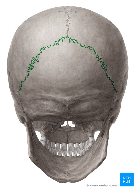 <p>what is this structure?</p>