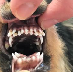 <p>What is wrong with this patient?</p>