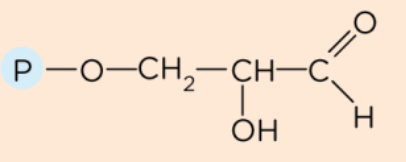 <p>What structure is this?</p>