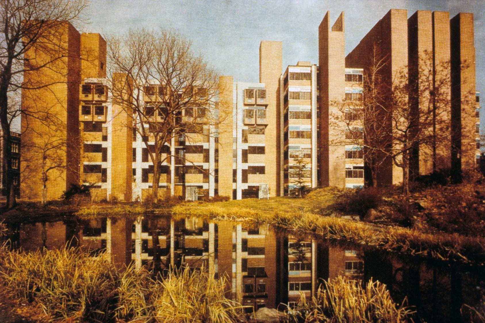 term image