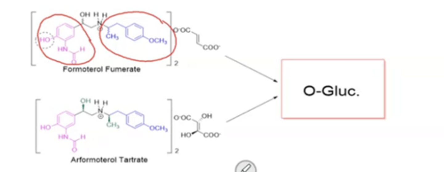 <p>m-Formamide-OH-phenyl and Isopropyl-p-methoxy phenyl group</p>