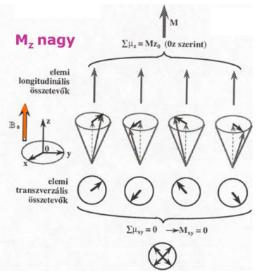 <p>A diagnosztikai kép alapjául szolgáló adatokat </p><p><span data-name="black_small_square" data-type="emoji">▪</span> a gerjesztő sugárzás kikapcsolása után mérik </p><p><span data-name="black_small_square" data-type="emoji">▪</span> mialatt a gerjesztett (antiparallel orientált) momentumok visszatérnek az alacsonyabb energiájú, parallel orientációjú állapotba</p>