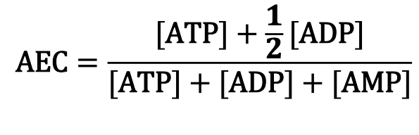 <p>Adenylate Energy Charge</p><p>AEC fluctuates from 1 (all ATP) to 0 (all AMP… death)</p>
