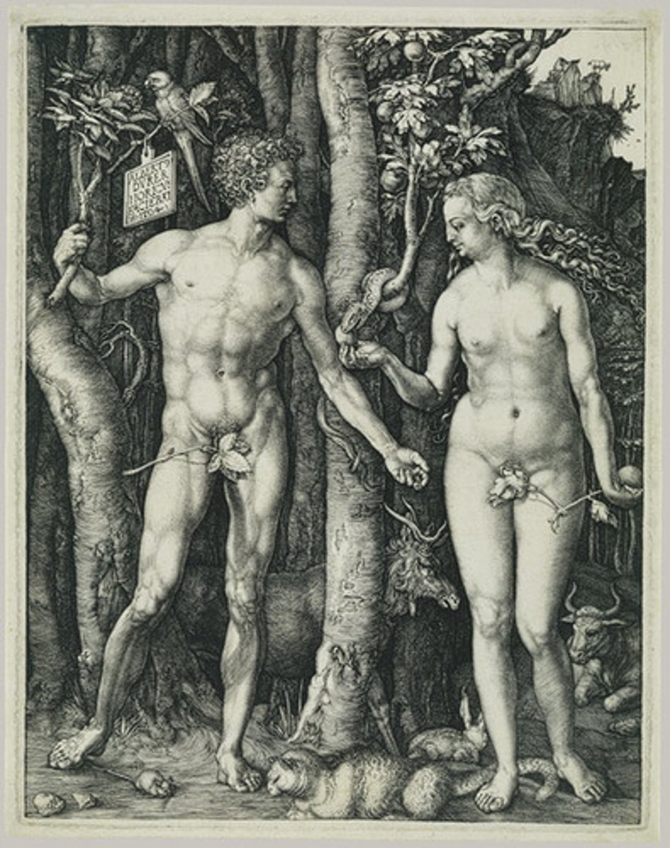<p>Albrecht Durer. 1504 CE. Northern Renaissance. Engraving.<br><br>Durer studied classical art proportions in Italy. Contrapposto. Reflects Northern forest setting. Moralistic animal symbols. Namesake on a sign inside painting.</p>