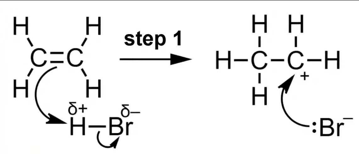 <p>Electrophile approaches the C=C bond; heterolytic fission occurs</p><p>π electrons form a bond with electrophile, generating a carbocation intermediate.</p>