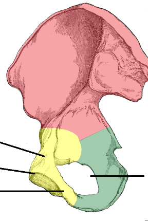 <p>What are the three colored areas?</p>