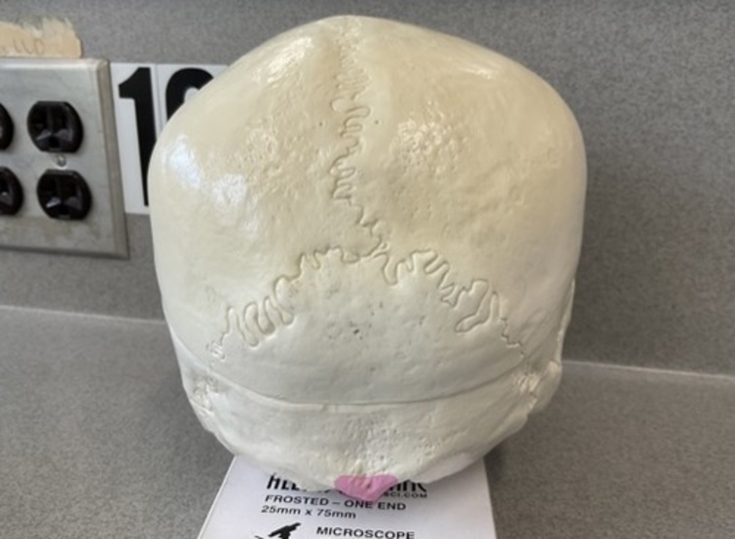 knowt flashcard image