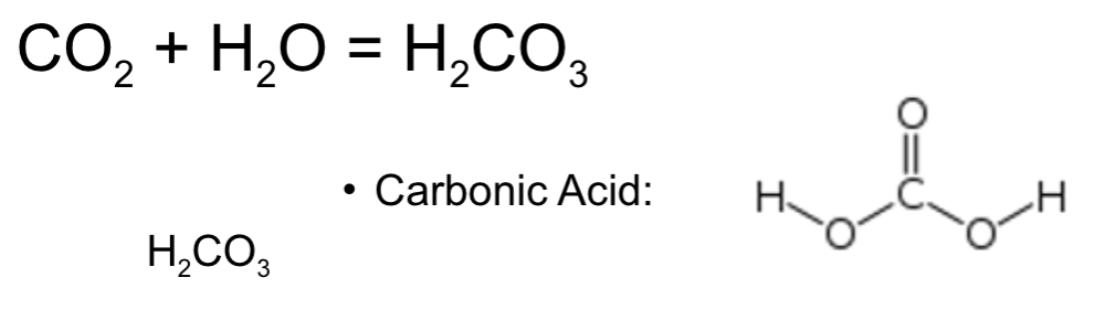 <ul><li><p>prevent <span style="font-family: g_d0_f1, sans-serif">rapid change in pH when an acid or base is added to a solution</span></p></li><li><p><span style="font-family: g_d0_f1, sans-serif">compounds that readily accept or donate H+ ions</span></p></li><li><p><span style="font-family: g_d0_f1, sans-serif">carbonic acid</span></p><ul><li><p>important buffer</p></li><li><p>can lose 2 H+ to form:</p><ul><li><p>biocarbonate</p><ul><li><p>1 H+ lost</p></li></ul></li><li><p>carbonate</p><ul><li><p>2 H+ lost</p></li></ul></li></ul></li></ul></li></ul>