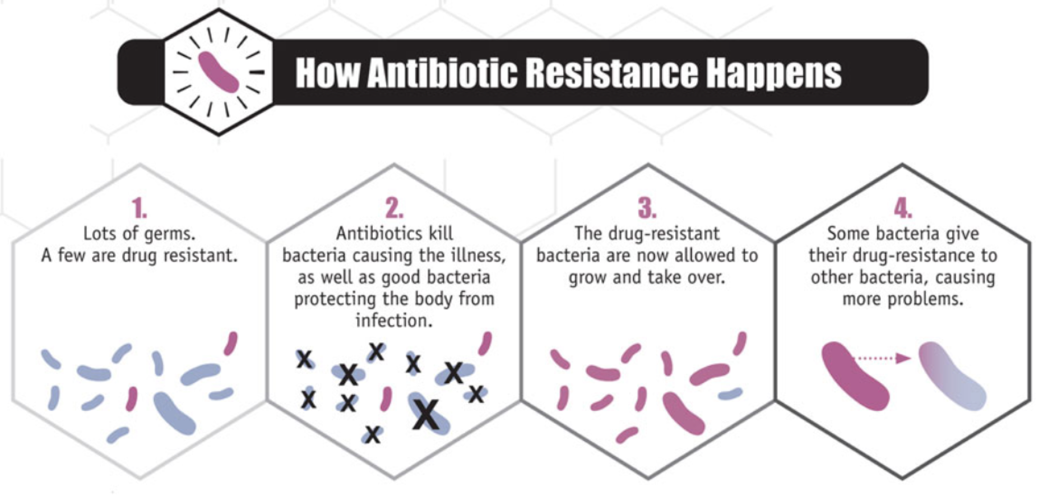 <ul><li><p><span>Pathogens evolve and adapt to Antibiotics and Vaccines</span></p></li></ul><ul><li><p><span>We are running out of effective antibiotics</span></p></li></ul><ul><li><p><span>Developing new drugs is expensive</span></p></li></ul><p></p>