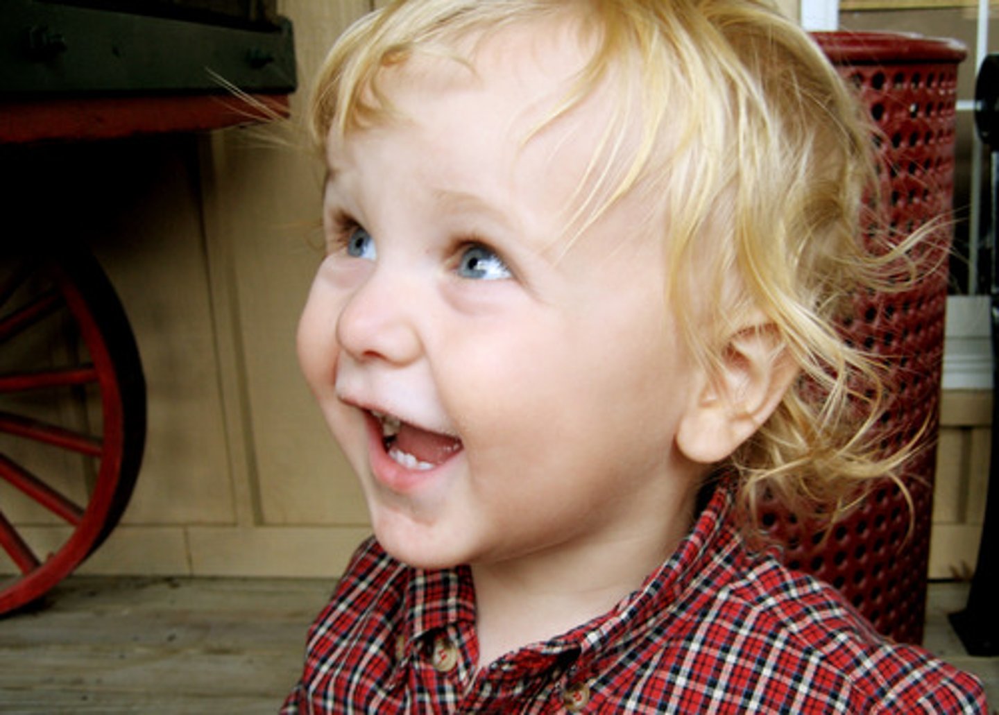 <p>Feliz</p>