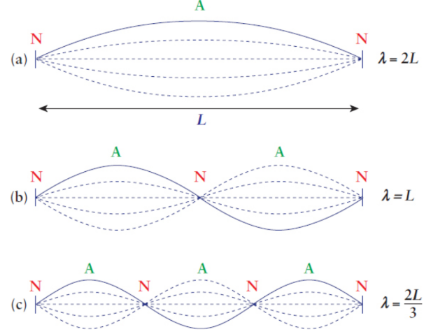 <p>All the possible frequencies that the string can support</p>