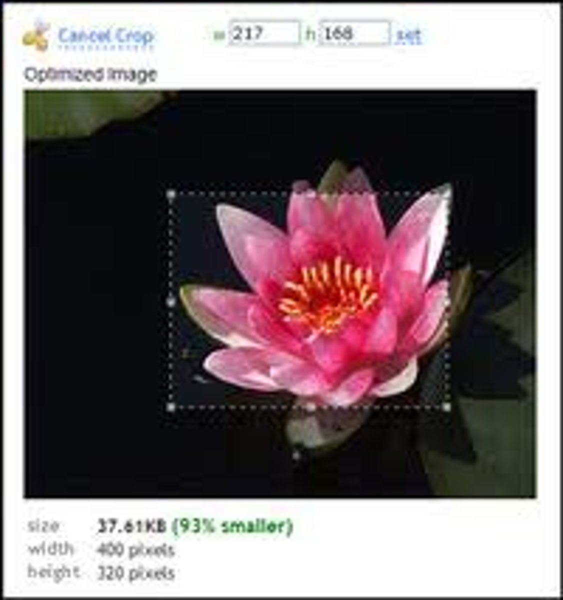 <p>Editing the image area to be reproduced. Cropping enhances a photo's visual impact by removing dead space from the sides, top or bottom</p>