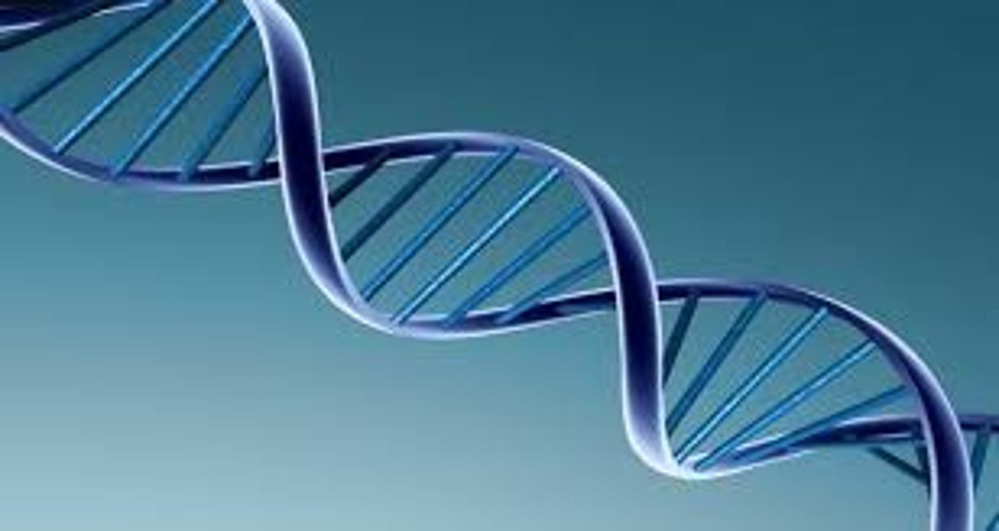 <p>gene</p>