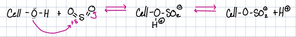 <p>used as a viscosity modifier and has been trialed a a microbicide</p>