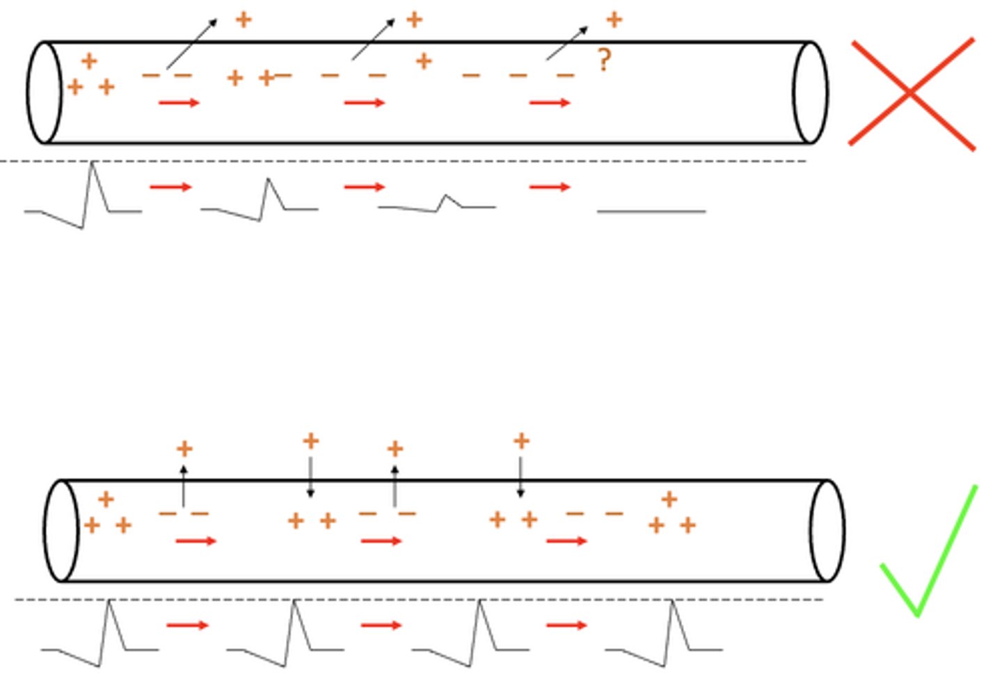 <p>the action potential is regenerated as it moves along the axon due to voltage-gated sodium and potassium channels; the action potential ends up depolarizing the newly occupied piece of membrane and gets back to it's original level of depolarization</p>
