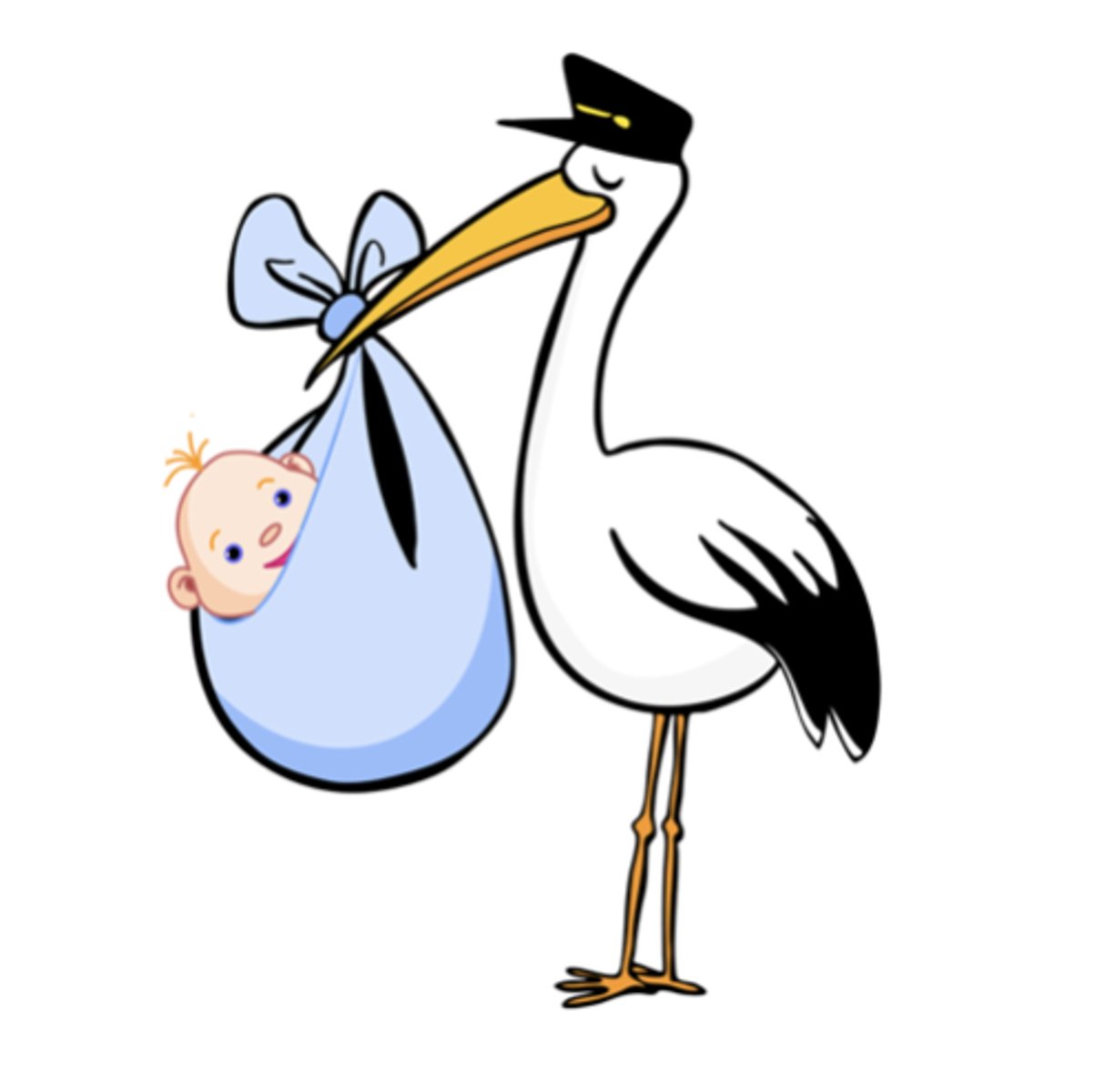 <p>birth</p>