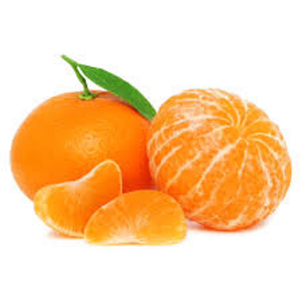 <p>tangerine</p>