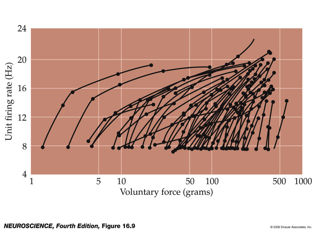 <p>What does each trace on the graph represent?</p>