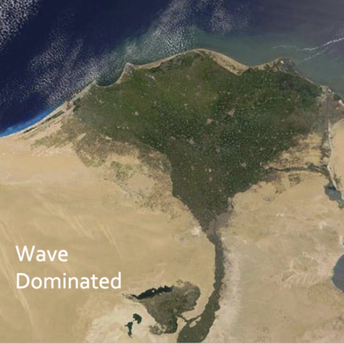 <p>ex: nile river delta</p><p>waves coming in create longshore transport and smooth the coastline</p><p>waves are more powerful than the river channels are in terms of moving sediment</p><p>deflect river mouth</p><p>beaches, barrier ridges, spits</p><p>smooth front</p><p>cupsate form</p><p>eolian dunes</p><p>not very much vegetation</p>