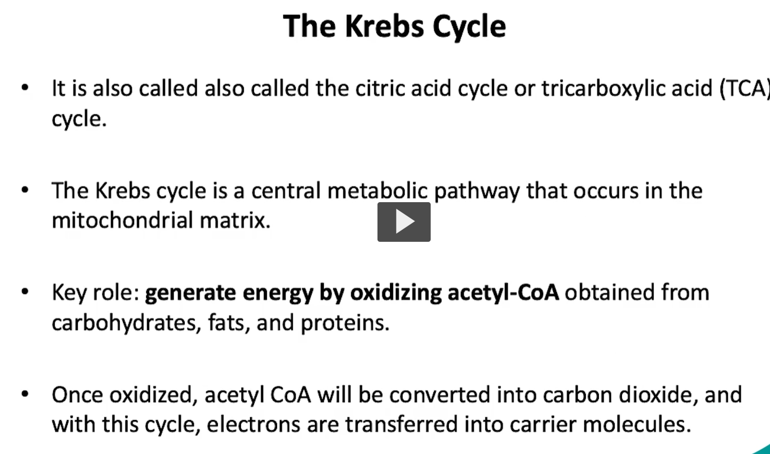 <p>for a little bit more background on the kreb’s cycle, it is also known as the tri-carboxylic acid cycle, or the citric acid cycle. </p><p>it is a central metabolic pathway, that occurs in the mitochondrial matrix. as mentioned previously, it’s major key role is to generate energy by oxidizing acetyl-CoA. </p><p>this acetyl-CoA can be obtained from multiple sources like carbohydrates, fats, proteins, and, as previously discussed, the PDC. </p><p>once oxidized, acetyl-CoA will be converted to carbon dioxide, and with this cycle, electrons are transferred into the carrier molecules. </p>