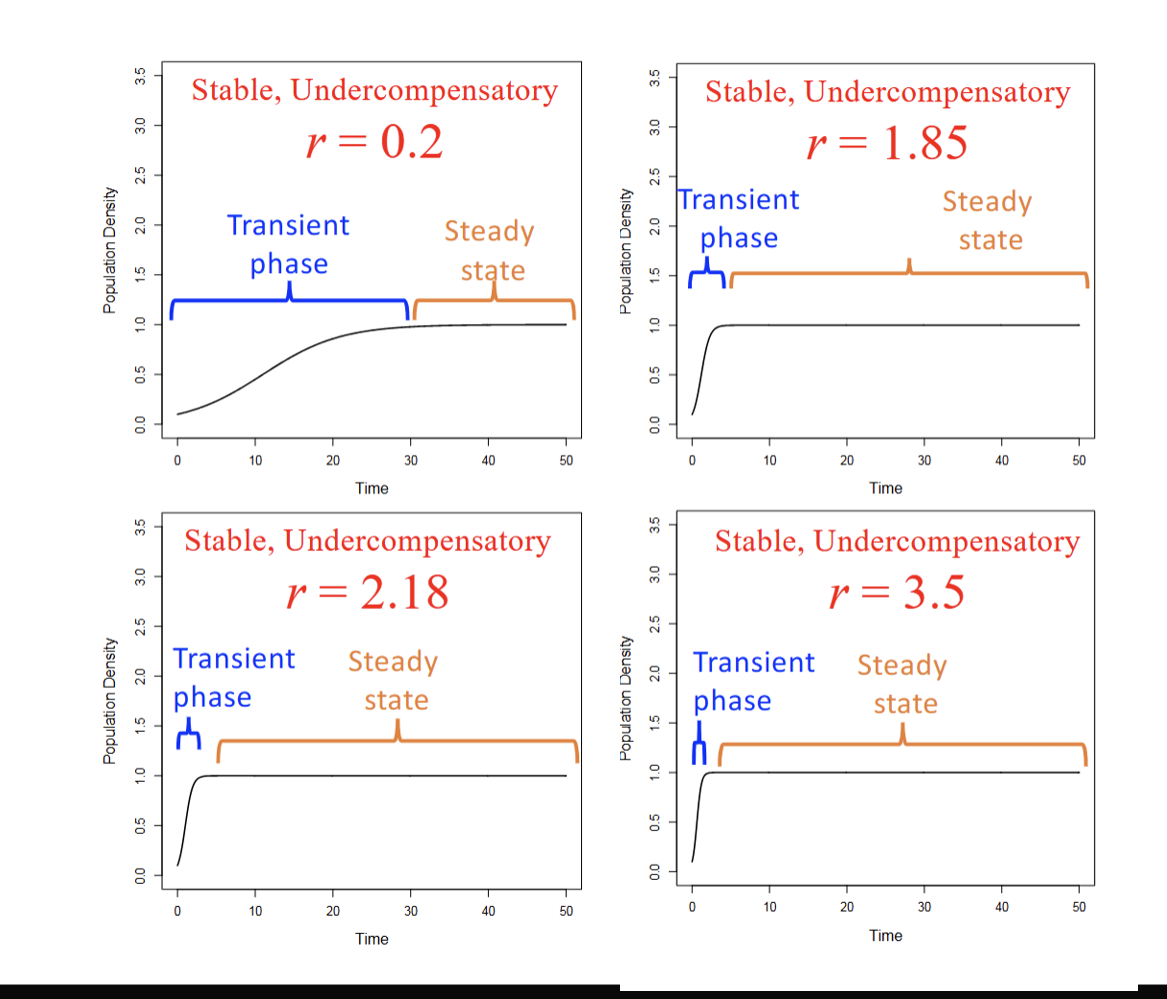 <p>Approach steady state faster, and no change in steady state dynamics with r</p>