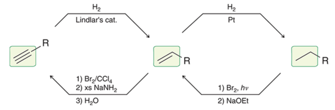 knowt flashcard image