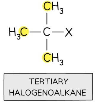 <p>A halogenoalkane which has three carbon atoms directly bonded to the carbon atom that is bonded to the halogen.</p>