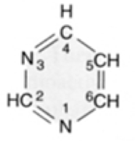What  nucleic acid is this?