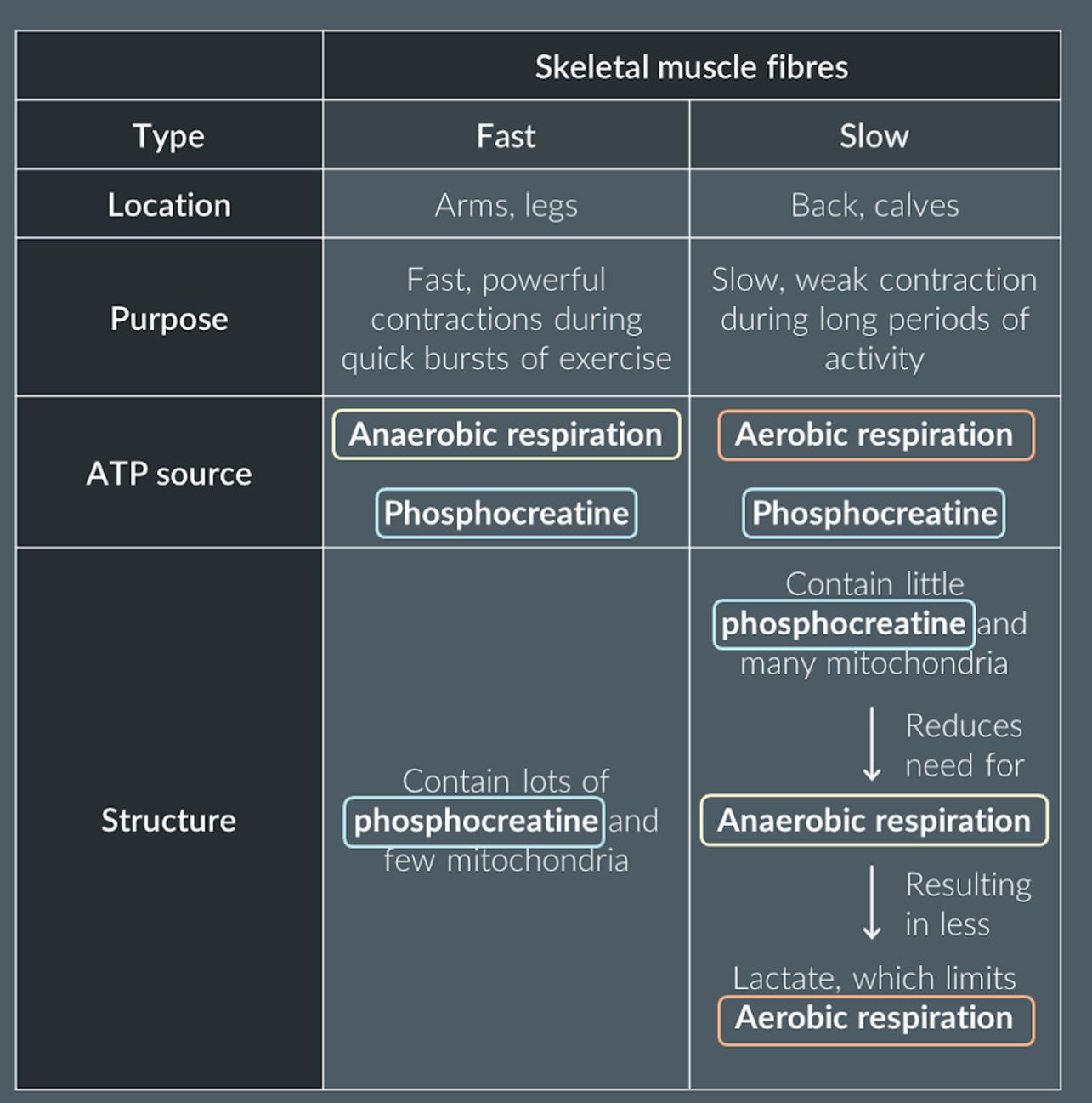knowt flashcard image