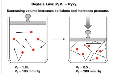 <p>states that the pressure of a gas is inversely proportional to its volume</p>
